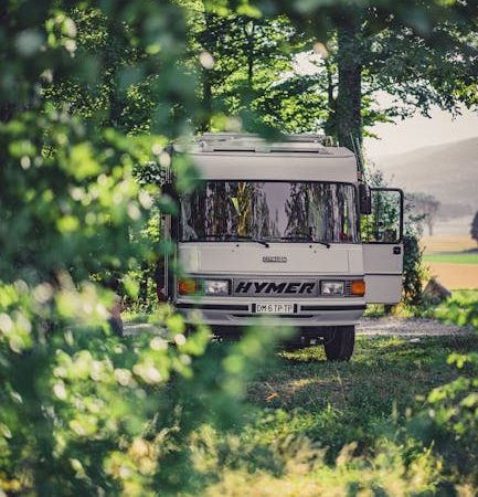Аренда внедорожника с палаткой на Алтае: приключенческий отдых на природе