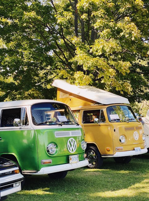 Аренда дома на колесах на Алтае