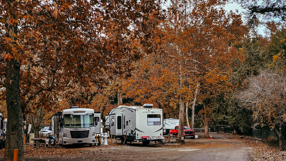 Аренда автодома в Новосибирске и на Алтае: цены и советы