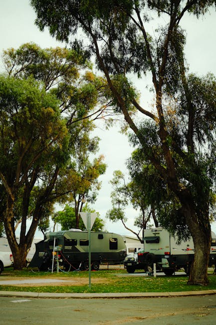 Прокат автодома на Алтае: свобода и приключения