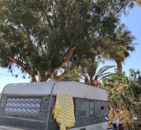 Аренда дома на колесах на Алтае в 2025 году