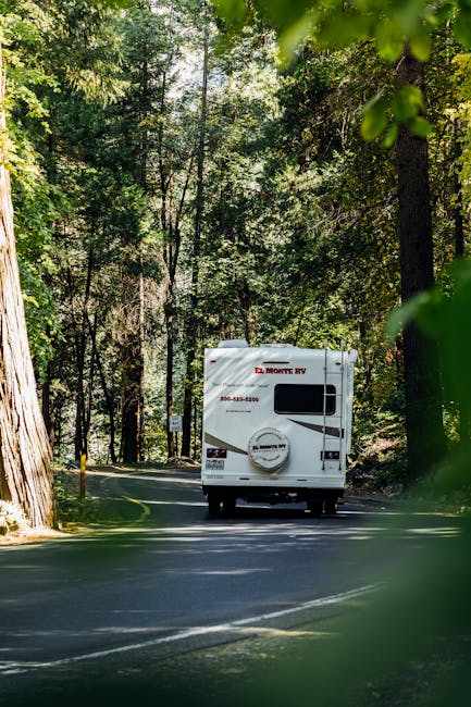 Прокат автодома на Алтае по доступным ценам