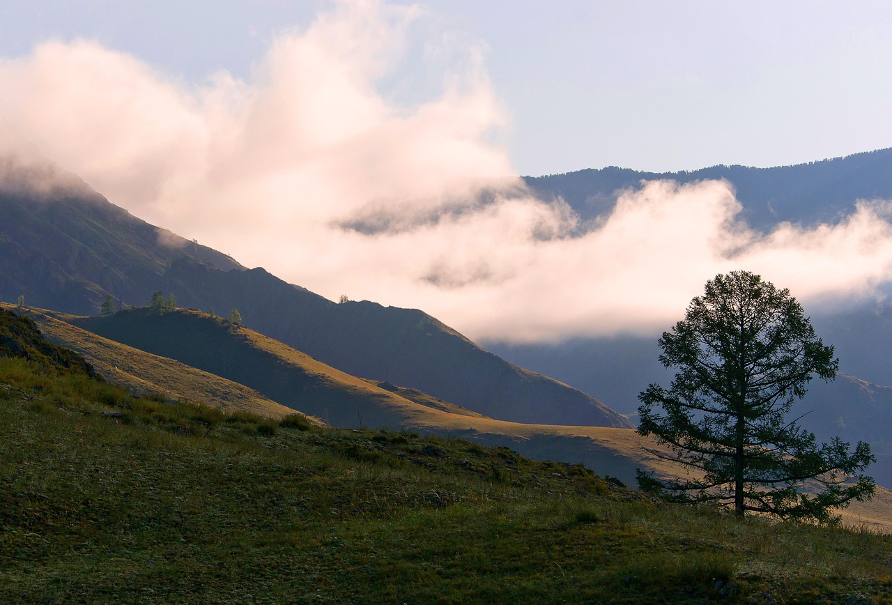 Аренда кемпера на Кавказе онлайн