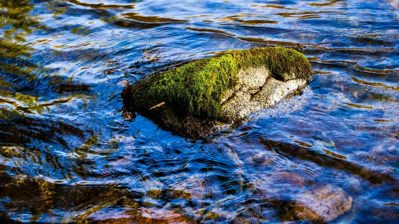 Как забронировать кемпер для путешествия на Кавказ в 2025 году