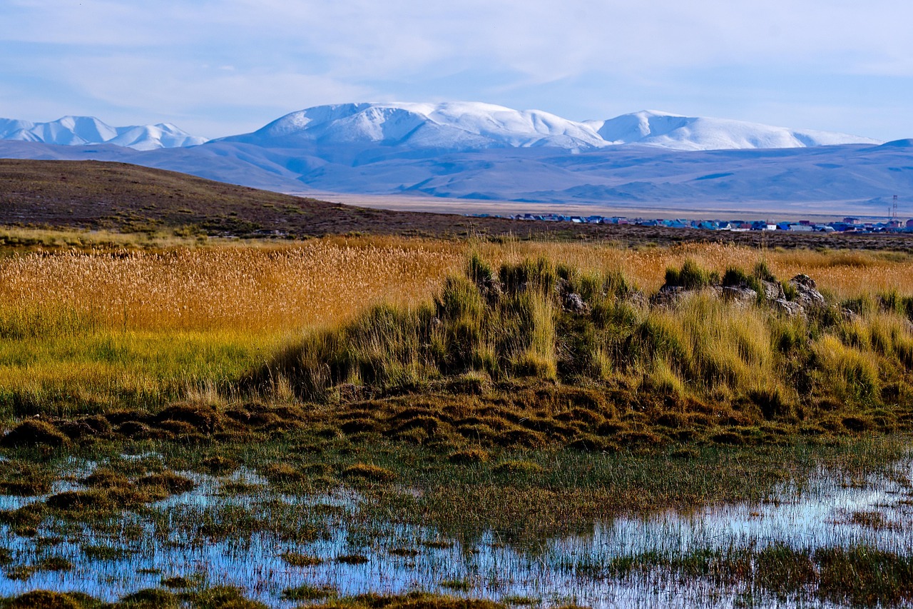Бронирование кемпера на Кольском полуострове по доступной цене