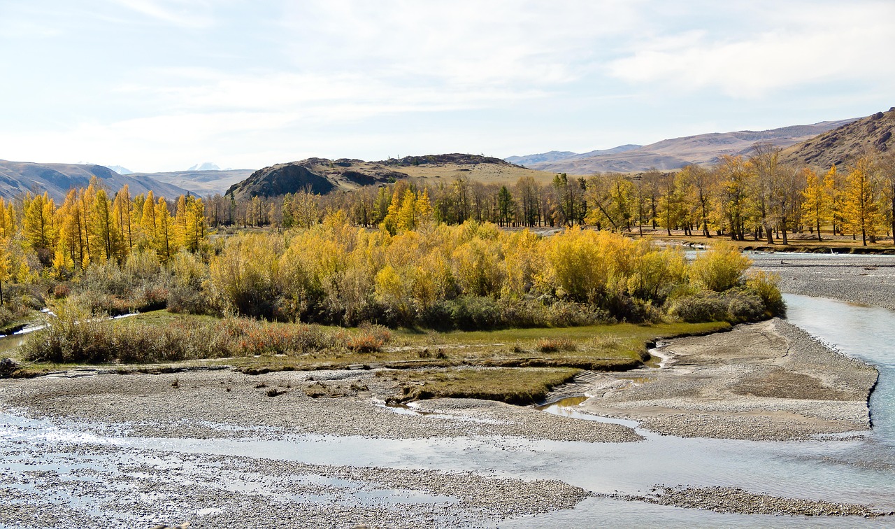 Снятие Автодома на Кавказе в 2025 Году: Преимущества и Советы