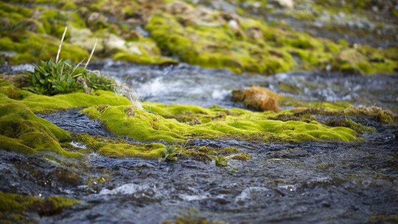 Преимущества покупки автодома в Ессентуках без посредников