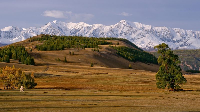 Аренда дома на колесах на Алтае в 2025 году