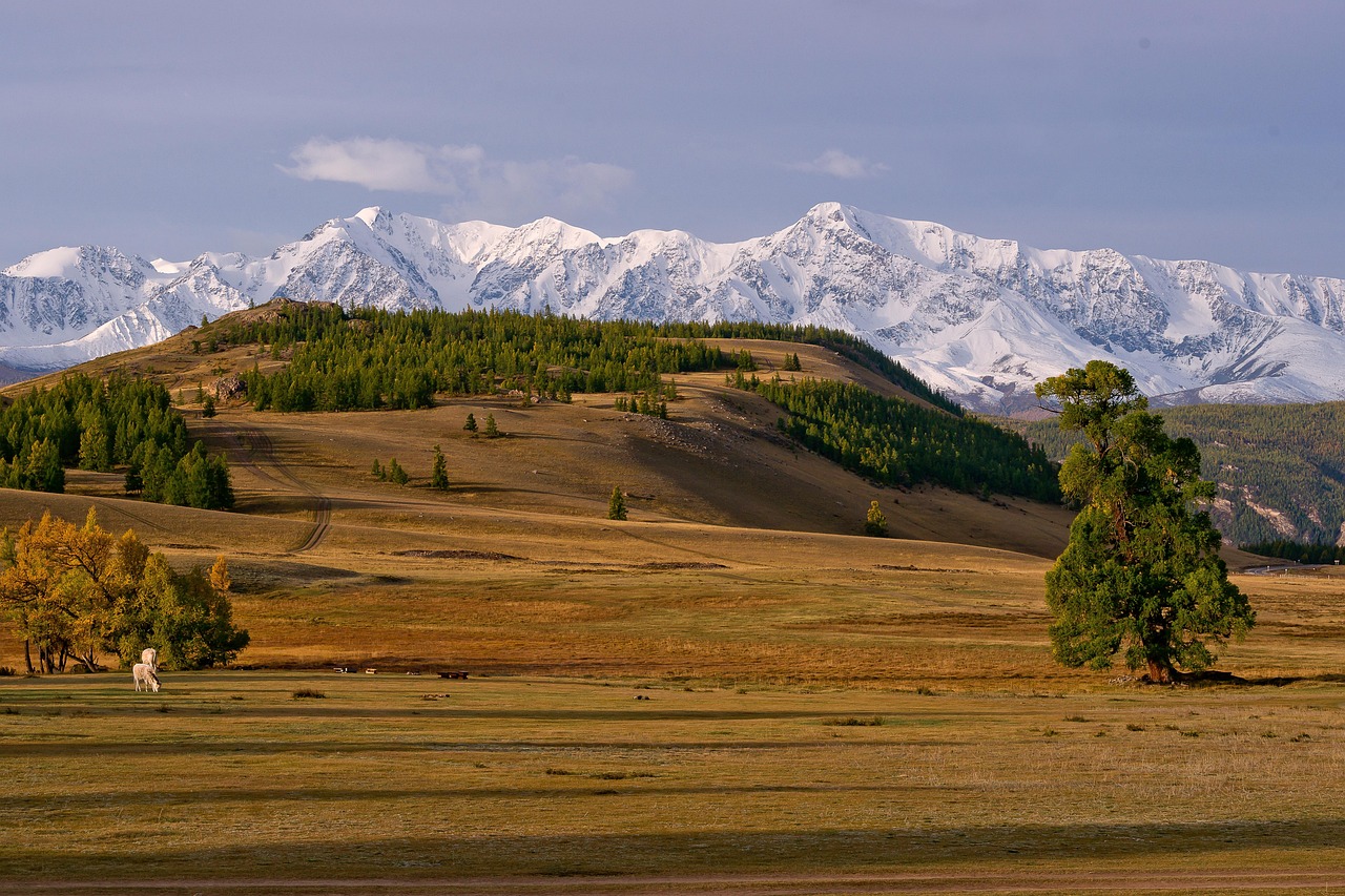 Аренда дома на колесах на Алтае в 2025 году