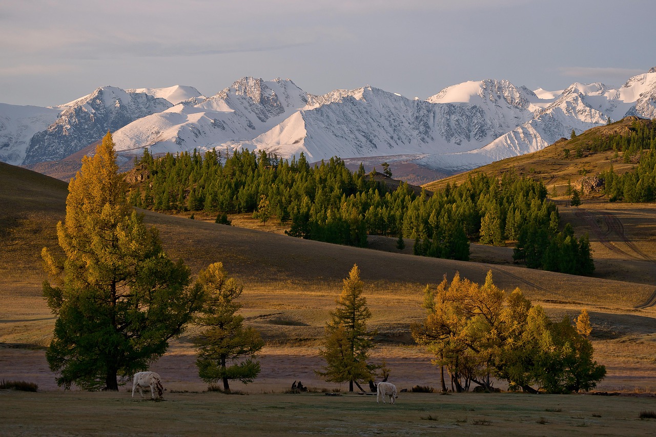 Аренда дома на колесах в Новосибирске для путешествия на Алтай