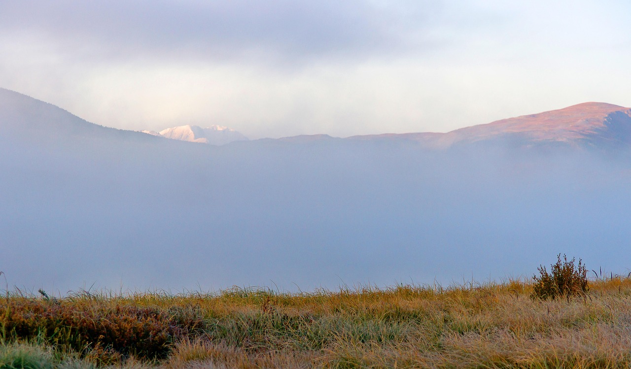 Прокат домов на колесах на Алтае: отзывы и рекомендации