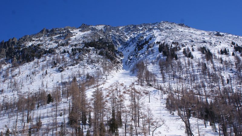 Аренда кемпера на Алтае онлайн