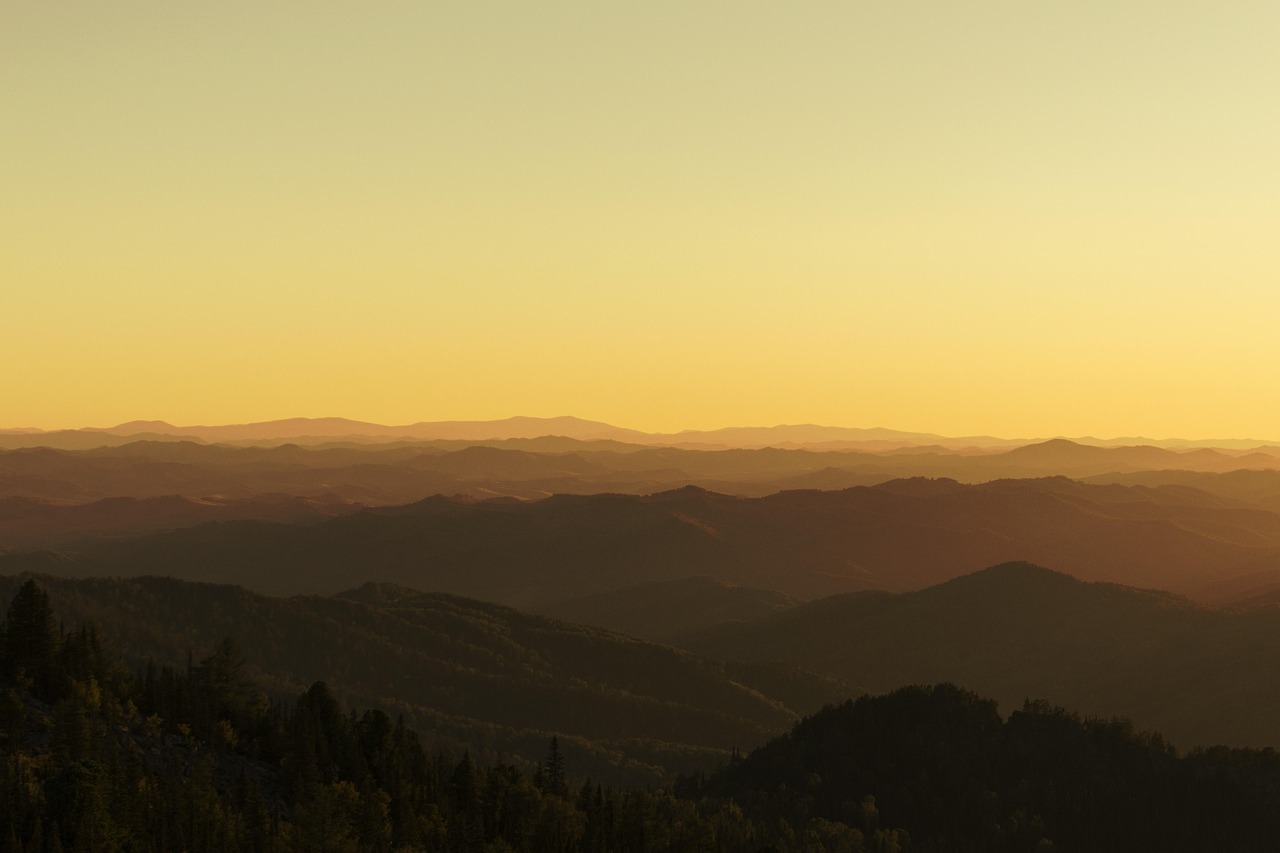 Аренда горного дома на колесах на Алтае
