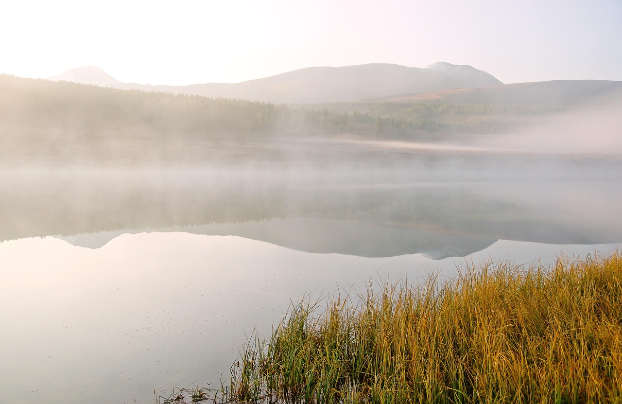 Аренда автодома на Алтае: преимущества и советы