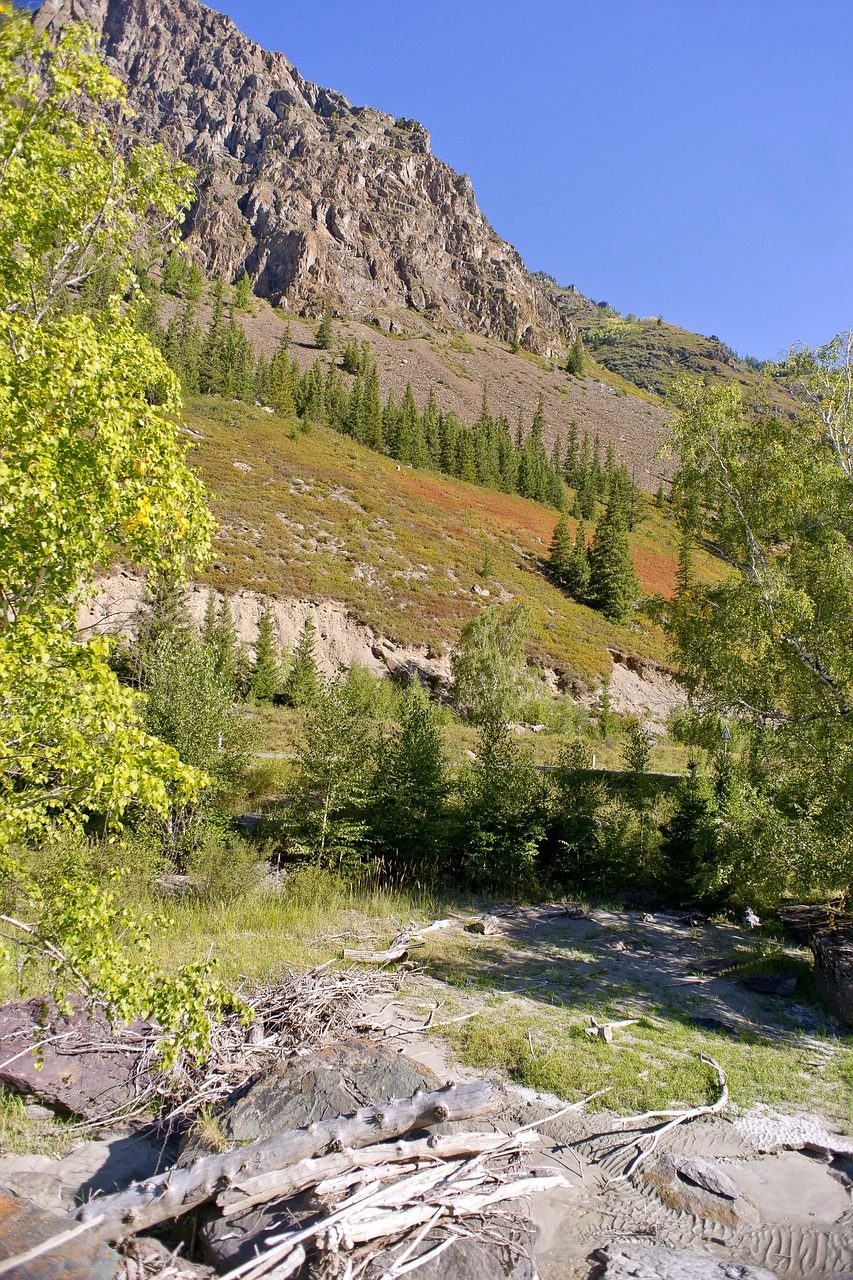 Аренда кемпера на Алтае