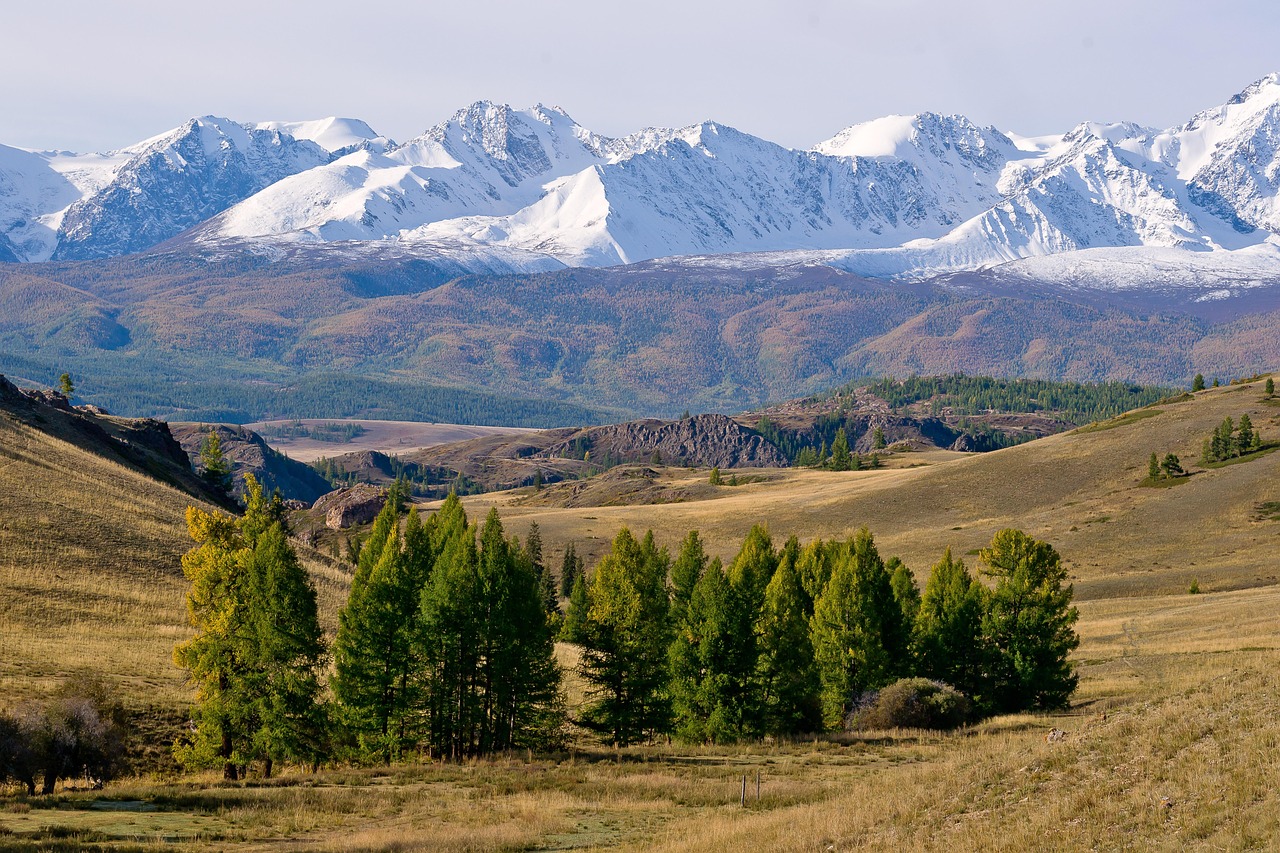 Прокат авто с палаткой на Алтае