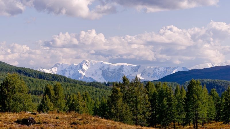 Аренда домов на колесах на Кавказе без посредников