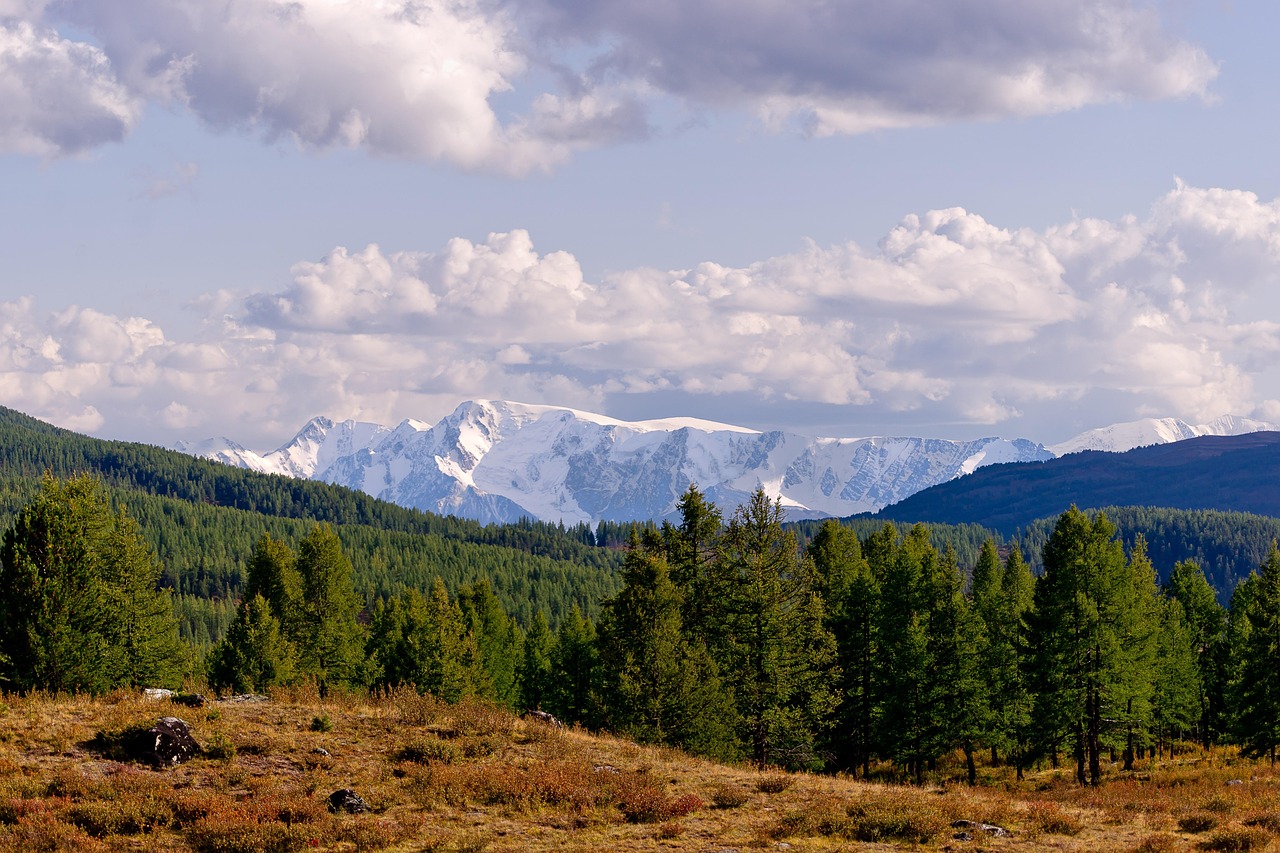Аренда домов на колесах на Кавказе без посредников