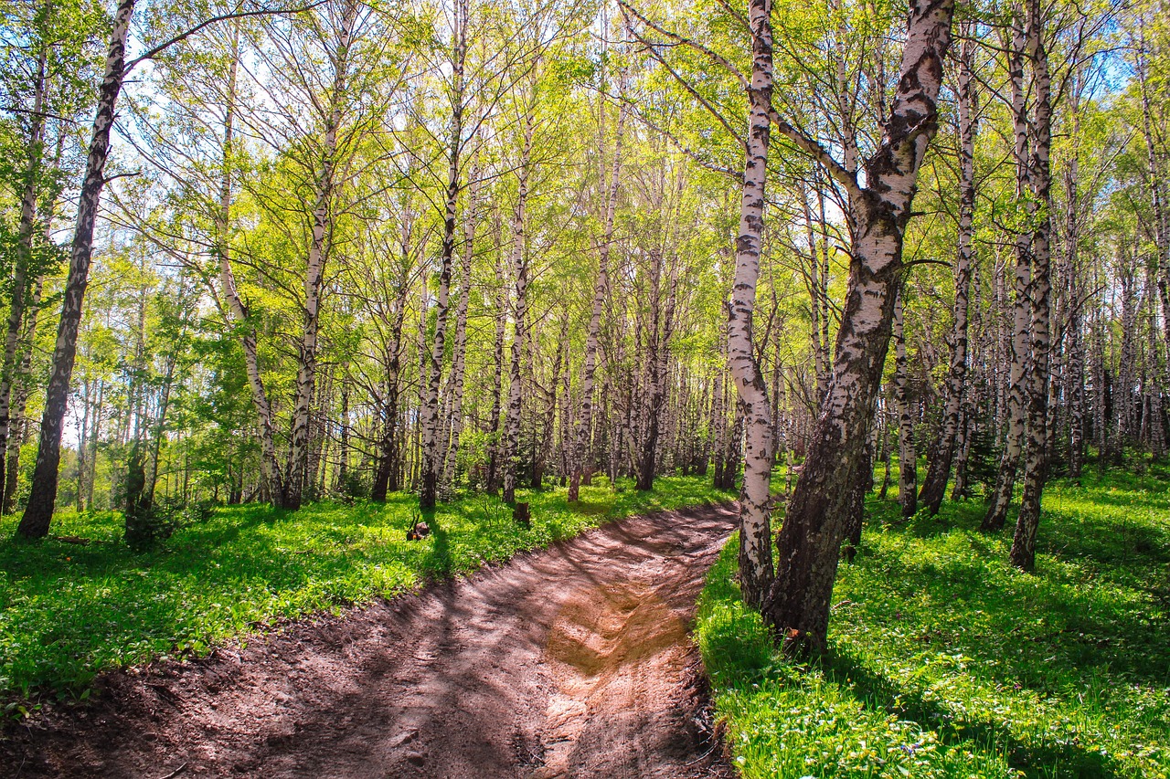 Аренда автодома на Кавказе: преимущества и советы для путешественников