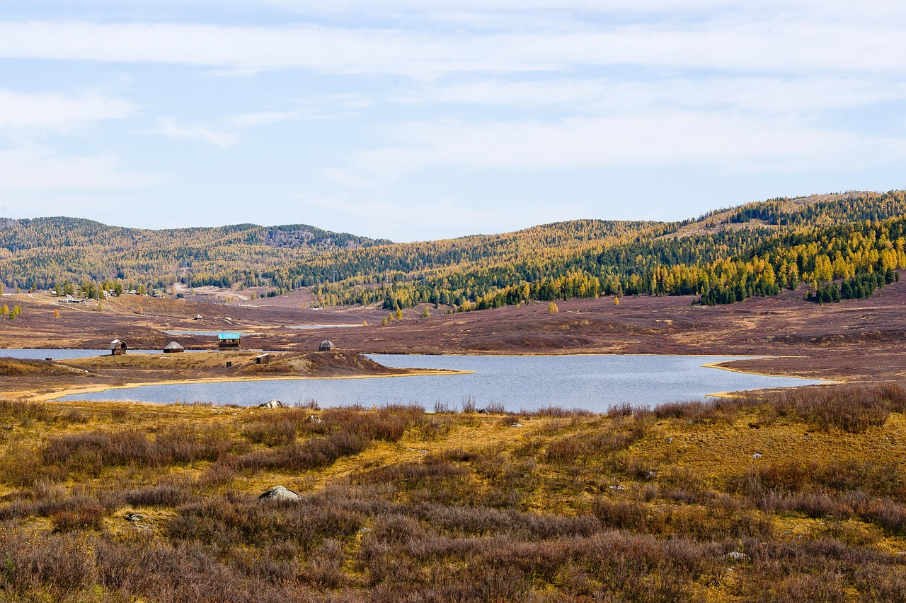 Автодом Алтай особенности и стоимость