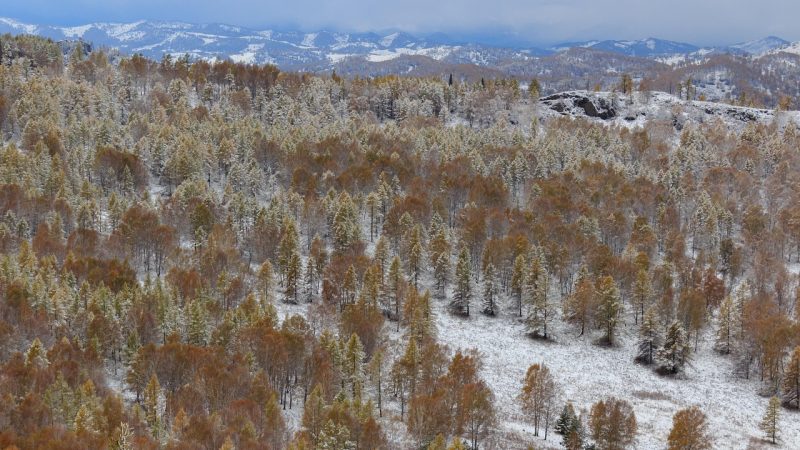 Аренда автодома в Горном Алтае: преимущества и советы