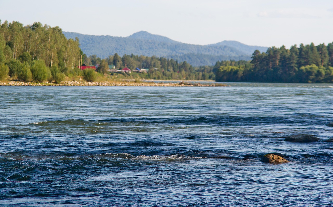 Отдых на Алтае с автодомом: преимущества кемпинга и аренда автодомов