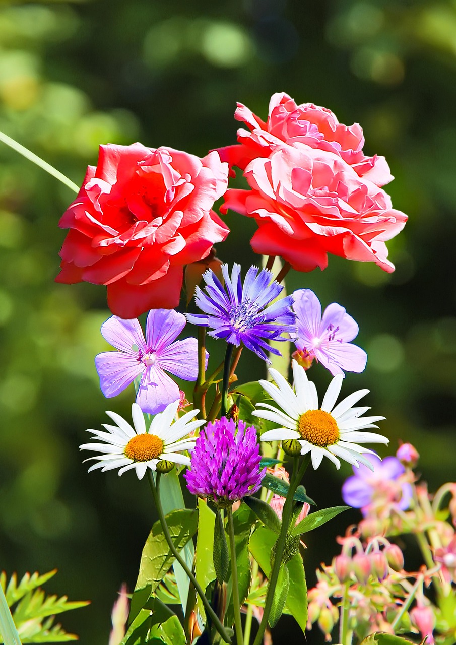 Аренда автодома на Алтае без посредников – отличный способ путешествовать по региону