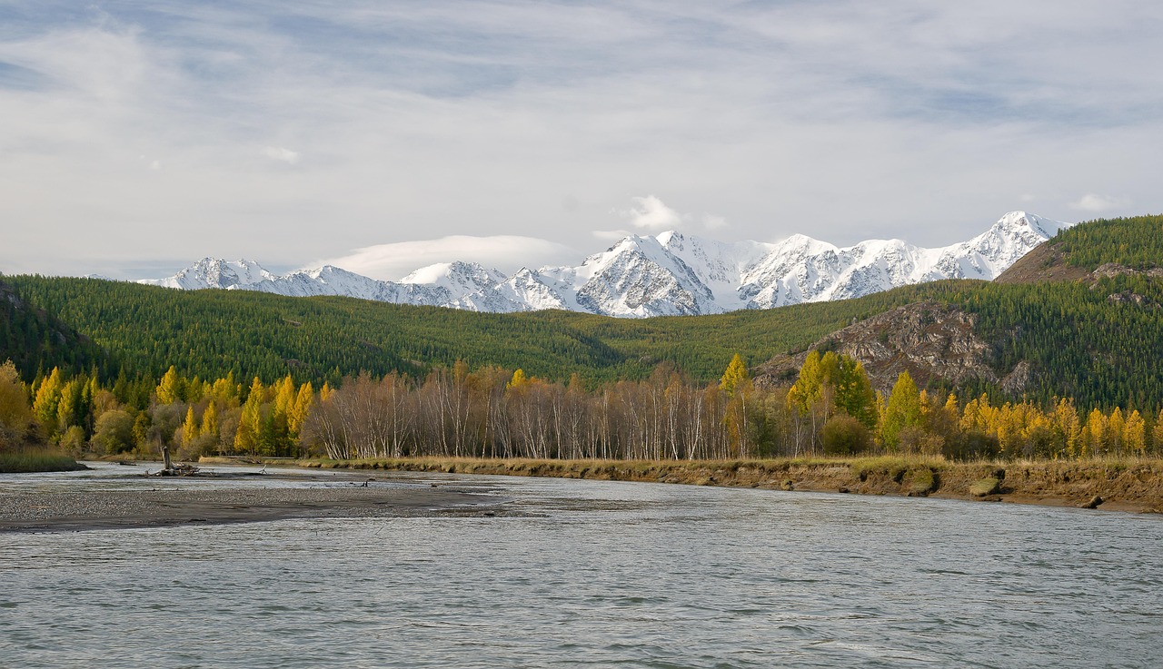 Аренда домов на колесах на Алтае