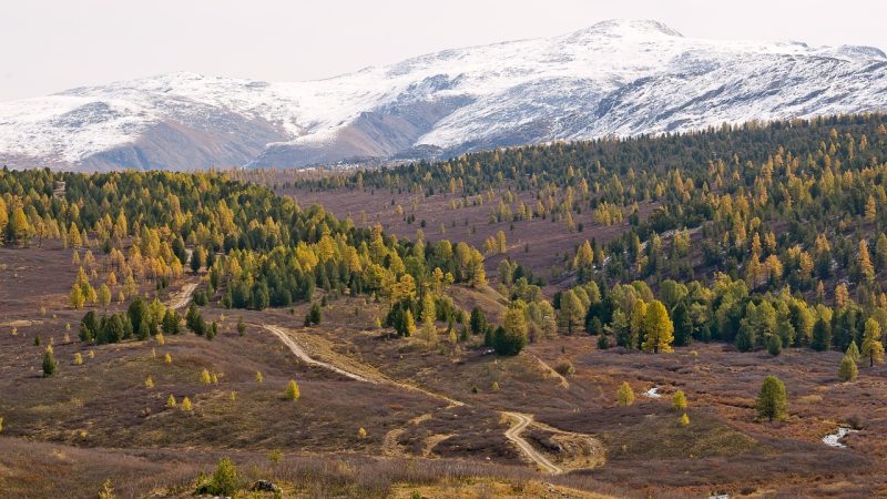 Аренда кемпера на Кавказе без посредников