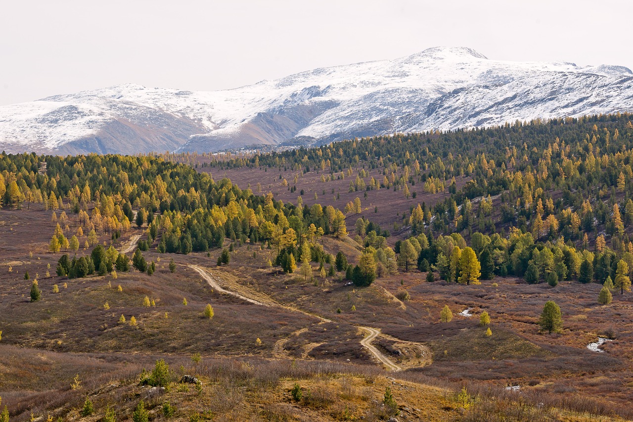 Аренда кемпера на Кавказе без посредников