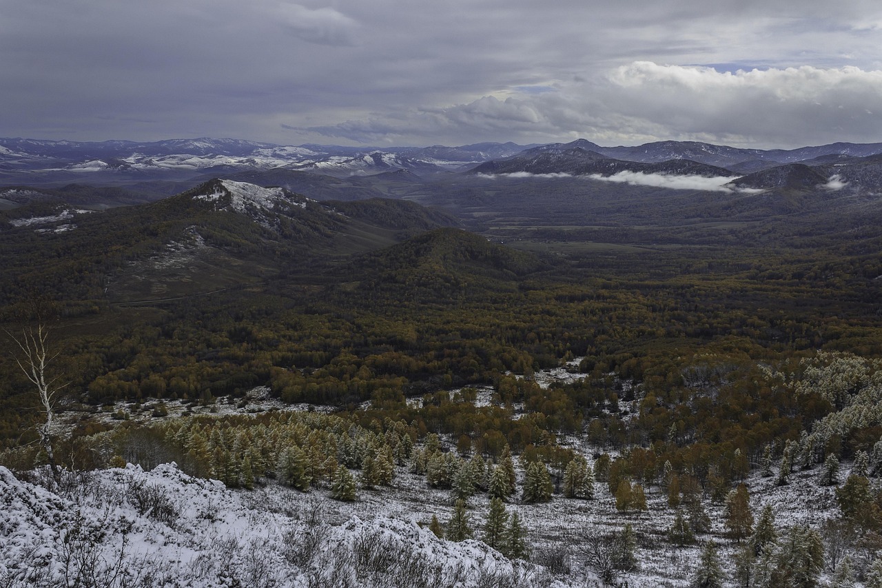 Аренда домов на колесах на Алтае отзывы туристов и советы по выбору