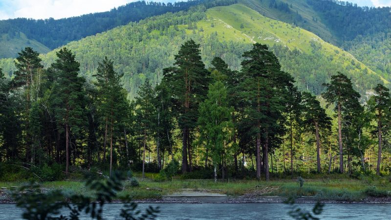 Аренда внедорожника с палаткой на Кавказе: цены и советы