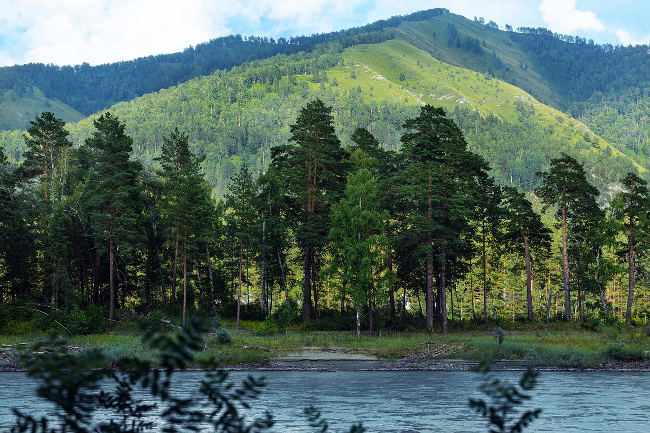 Аренда внедорожника с палаткой на Кавказе: цены и советы