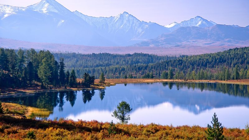 Снять дом на колесах на Алтае: преимущества и компании-арендодатели