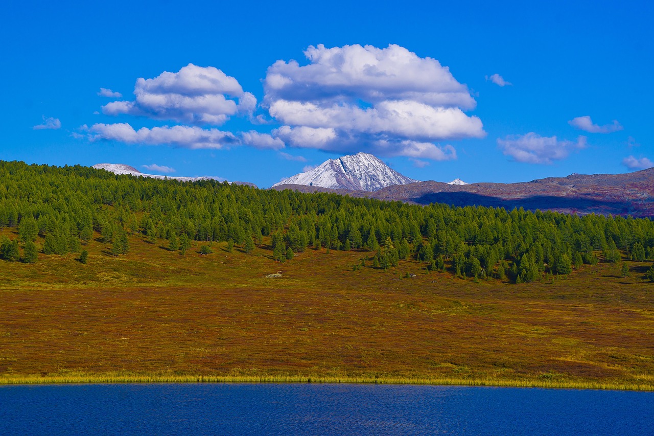 Как купить недорогой алтайский автодом в автосалоне