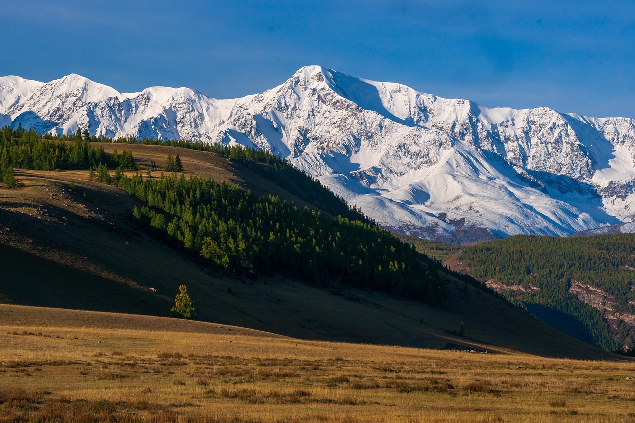 Путешествие на автодоме на Горный Алтай в 2025 году