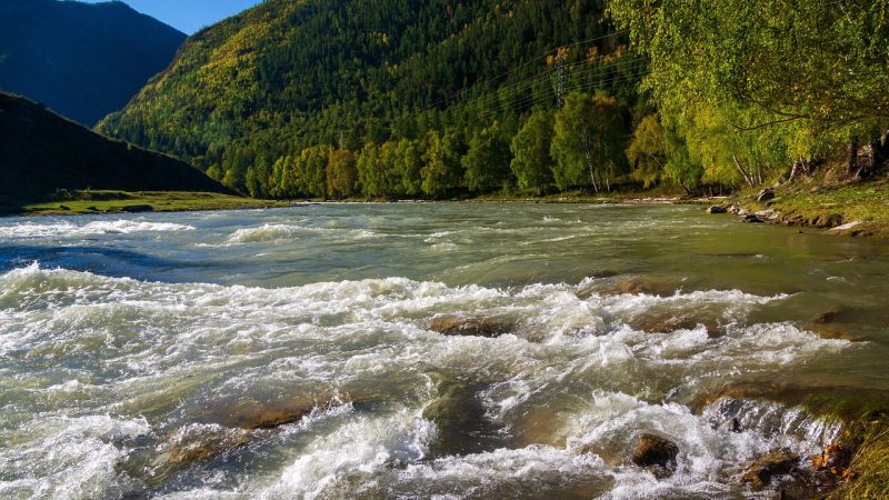 Аренда кемпера на Алтае: особенности бронирования и цены