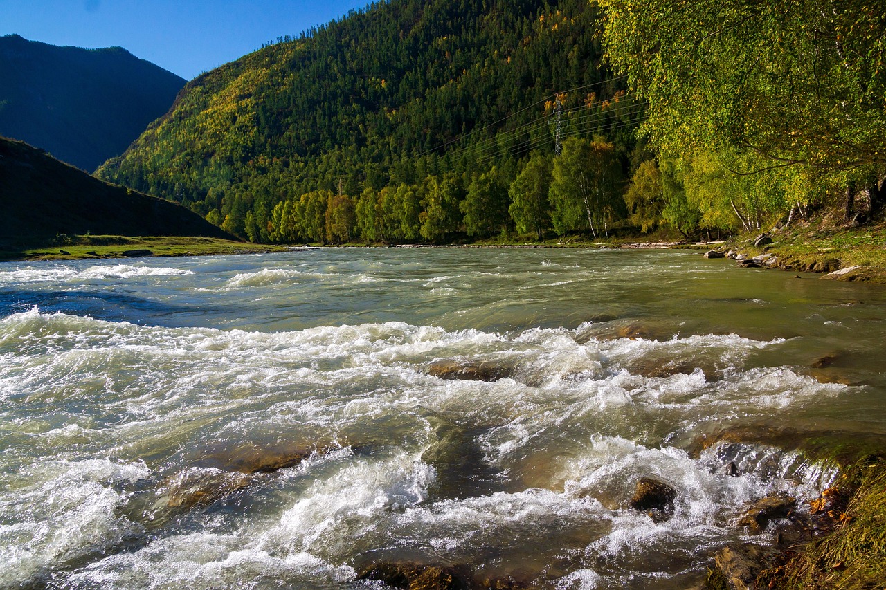 Аренда кемпера на Алтае: особенности бронирования и цены