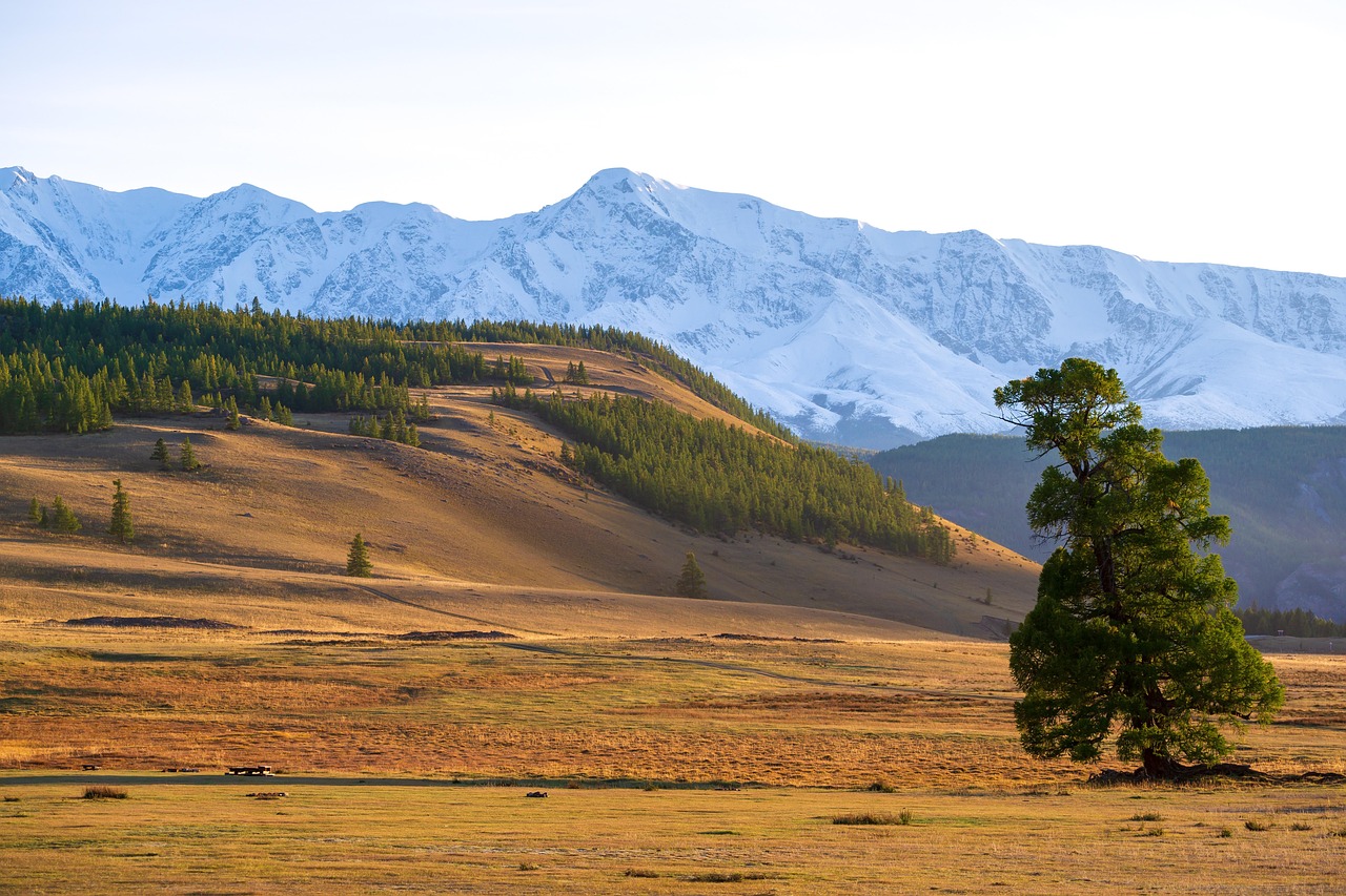 Путешествие на доме на колесах по Горному Алтаю