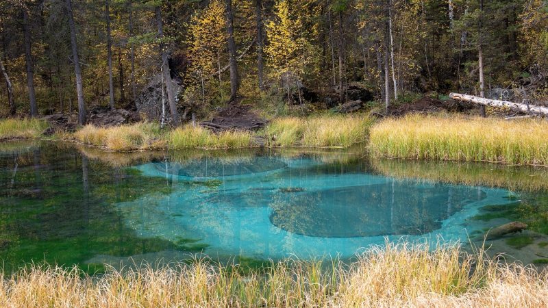 Аренда домов на колесах на Кавказе в 2025 году