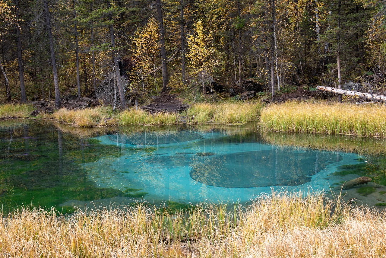 Аренда домов на колесах на Кавказе в 2025 году