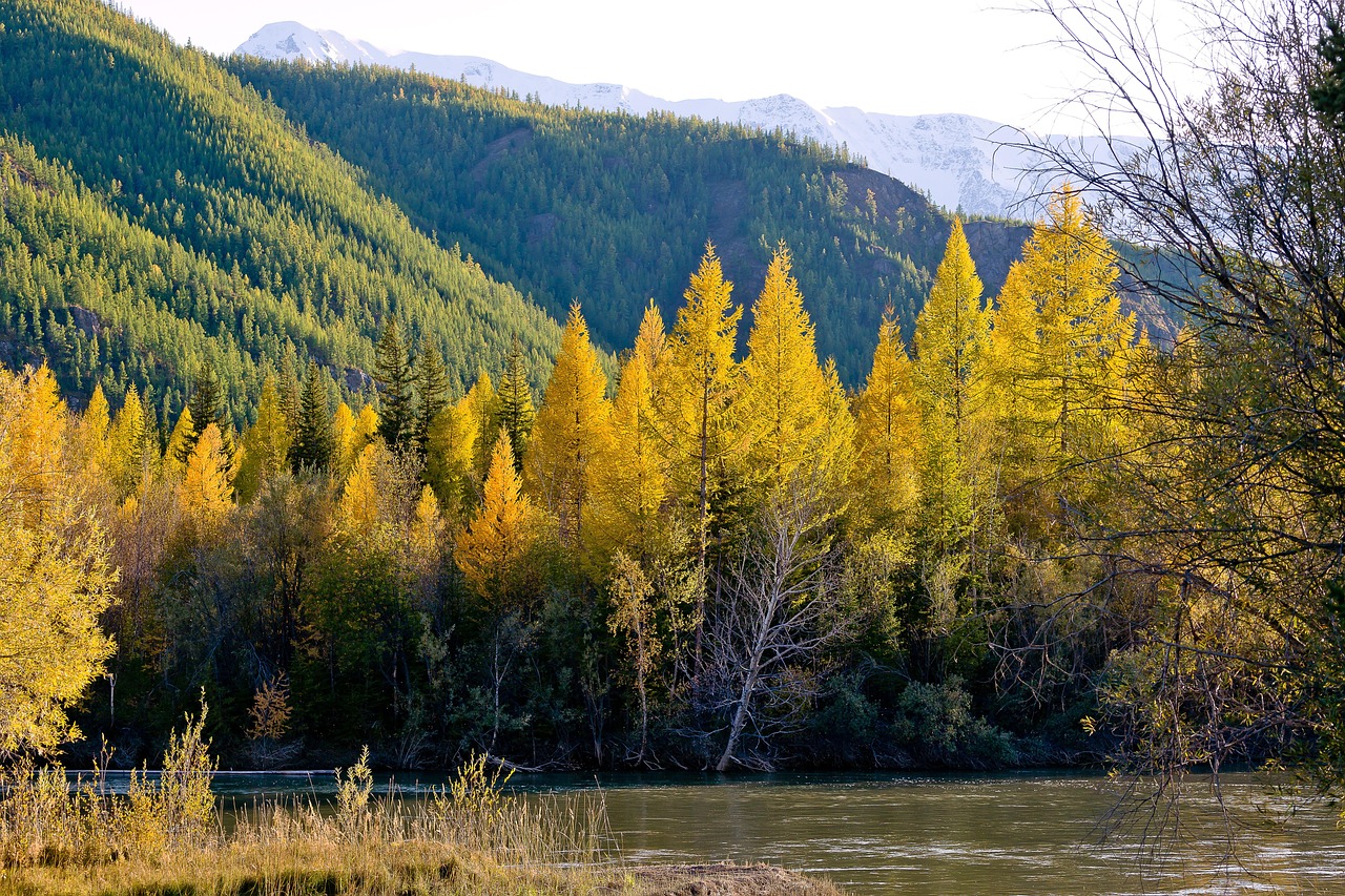 Автодом Кавказ Онлайн – путешествие по Кавказу на автодоме