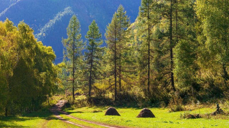 Преимущества аренды автодома на Алтае в Барнауле