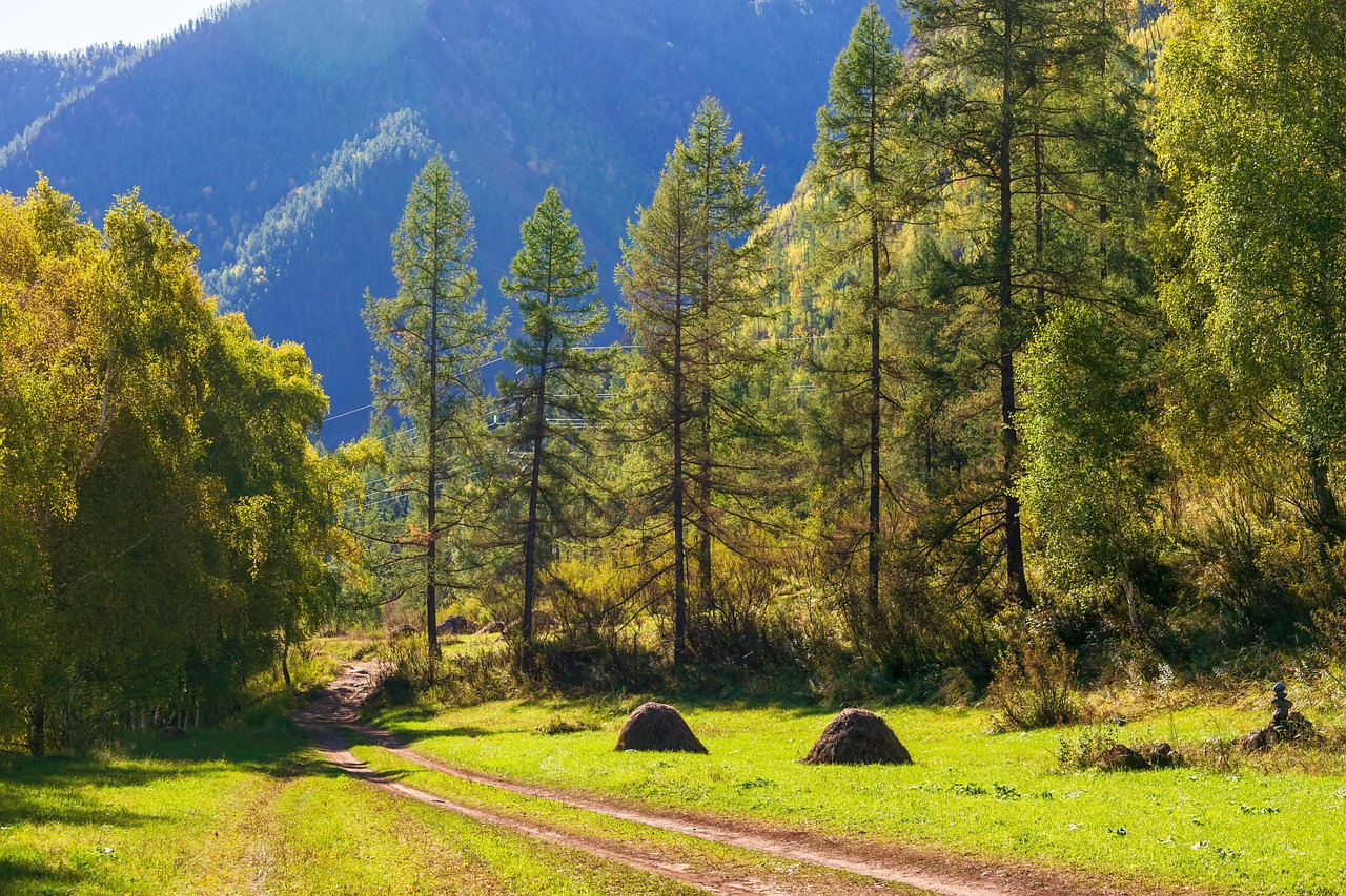 Преимущества аренды автодома на Алтае в Барнауле