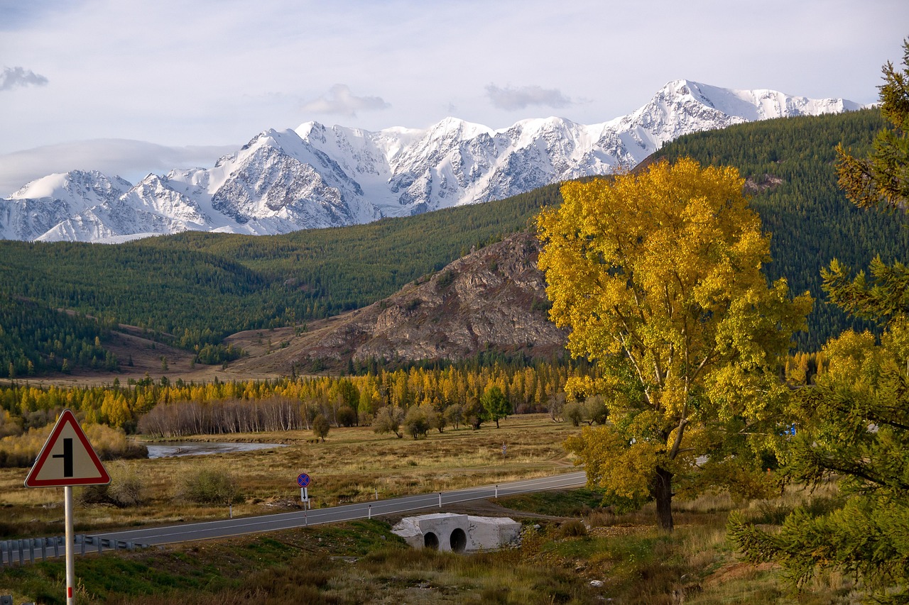 Аренда автодома в Новосибирске для путешествия на Алтай