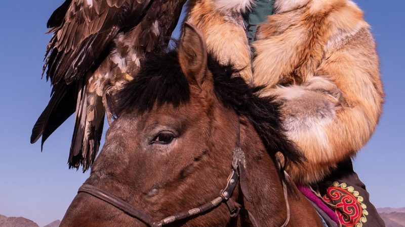 Отзывы об Алтай Автодом автосалоне: преимущества и недостатки