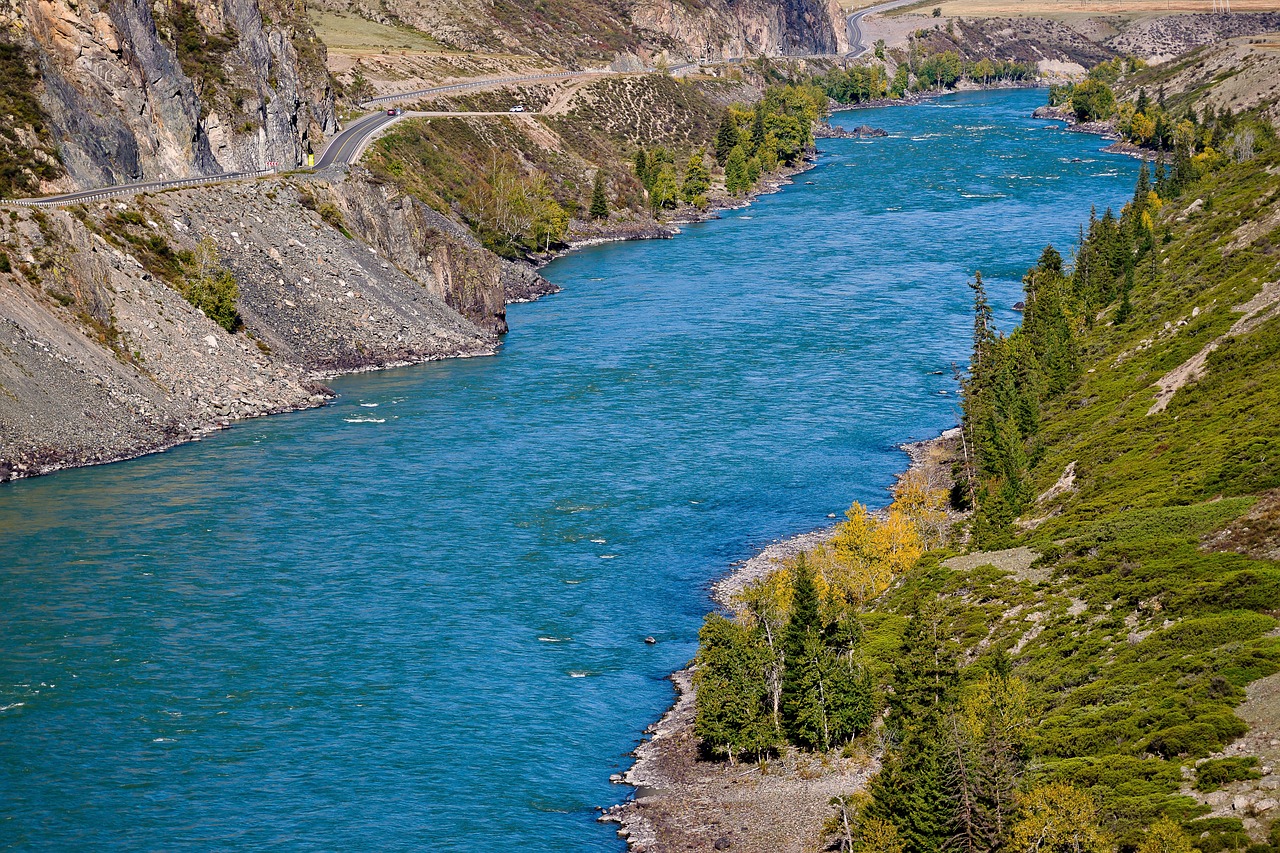 Отзывы об аренде домов на колесах на Алтае