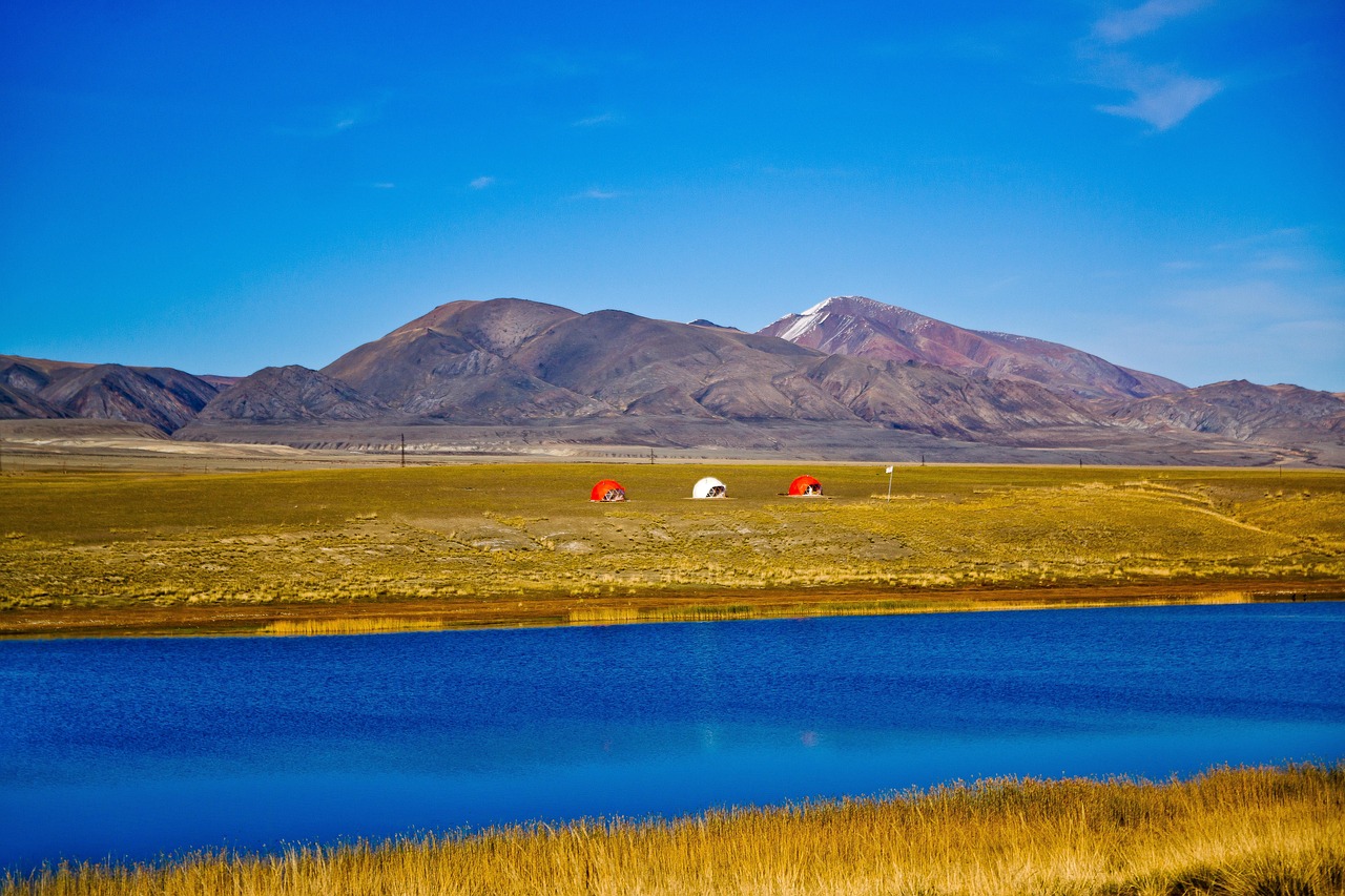 Аренда дома на колесах на Кавказе в 2025 году