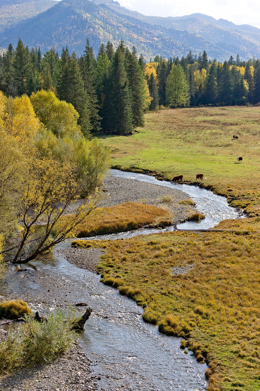 Аренда автодома для путешествия по Горному Алтаю