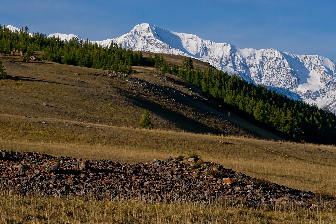 Прокат внедорожника с палаткой на Алтае